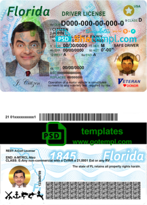 USA Florida driving license template in PSD format
