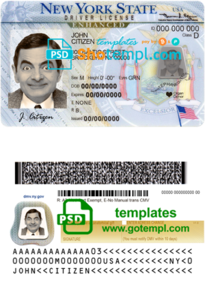 USA New York driving license template in PSD format
