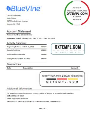 USA California BlueVine bank statement easy to fill template in .xls and .pdf file format
