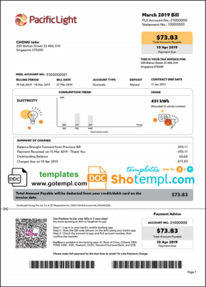 Singapore Pacific Light electricity utility bill template in Word and PDF format