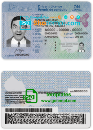 Canada Ontario driving license template in PSD format (2018 - present)