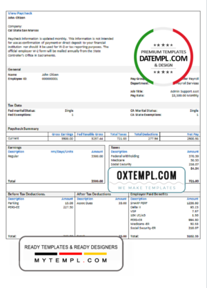 # over cutely pay stub template in Word and PDF format