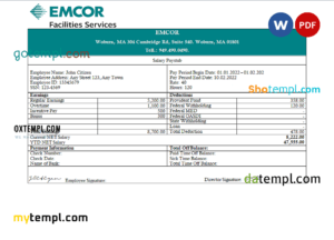 USA engineering company employee earning statement template in Word and PDF format