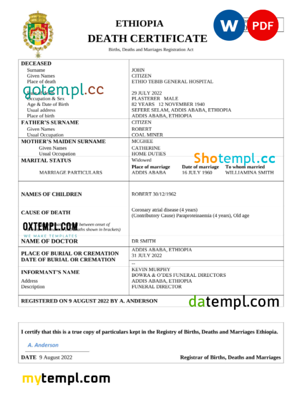 Ethiopia vital record death certificate Word and PDF template
