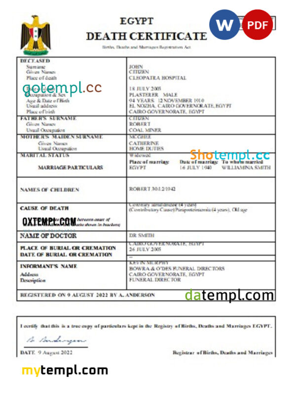 Egypt vital record death certificate Word and PDF template