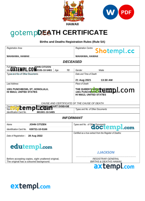 Hawaii death certificate Word and PDF template, completely editable