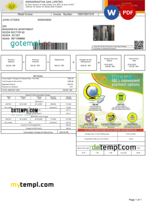 India INDRAPRASTHA GAS LIMITED utility bill template in Word and PDF format