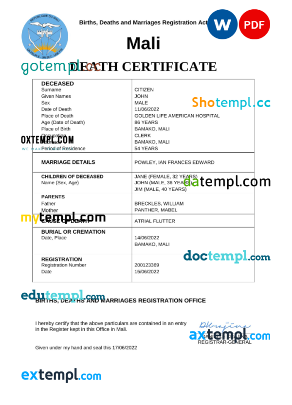 Mali vital record death certificate Word and PDF template