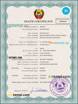 Mozambique vital record death certificate PSD template