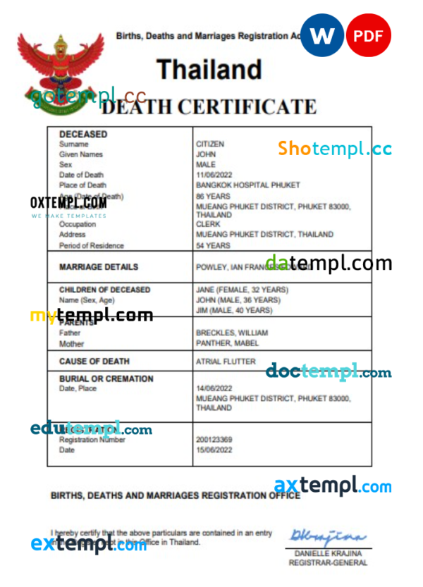 Thailand death certificate Word and PDF template, completely editable
