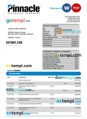 PINNACLE Financial Bank firm account statement Word and PDF template