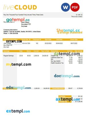 cloud storage paystub template in Word and PDf formats