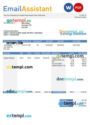 email services company earning statement in Word and PDf formats