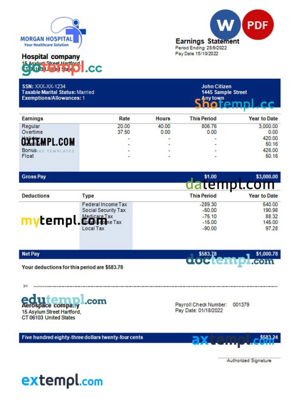 hospital company earning statement template in Word and PDF formats