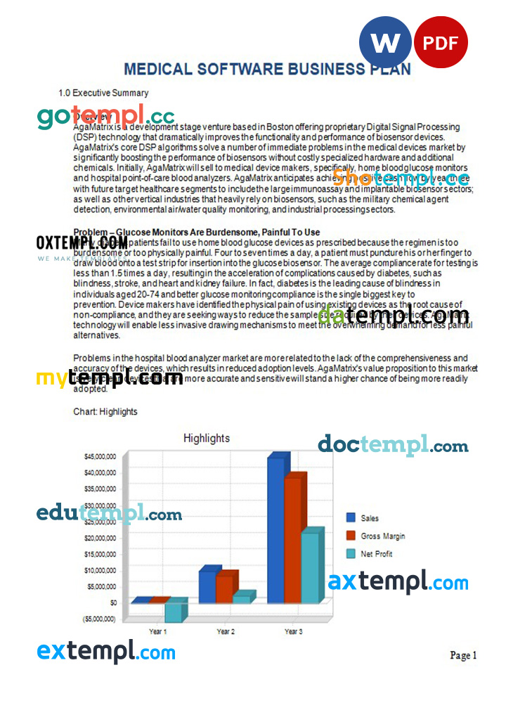 medical software business plan template in Word and PDF formats