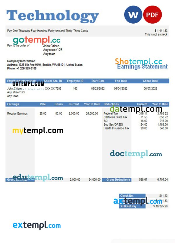 technology company paystub template in Word and PDF formats