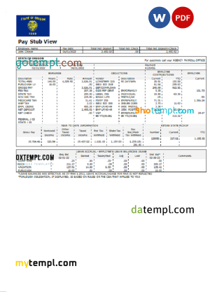USA commercial company earnings statement template in Word and PDF format