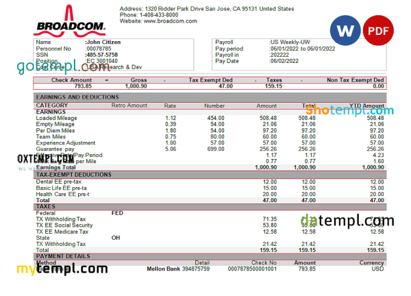 USA Broadcom semiconductor company pay stub Word and PDF template