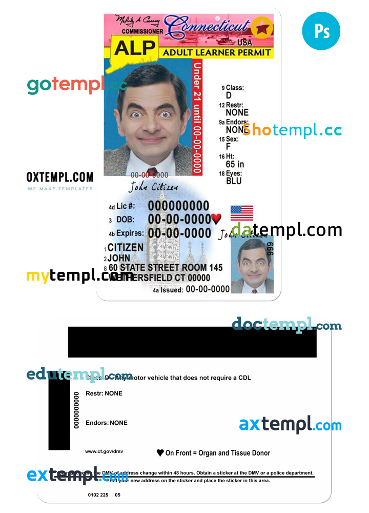 USA Connecticut state vertical driving license editable PSD template, under 21