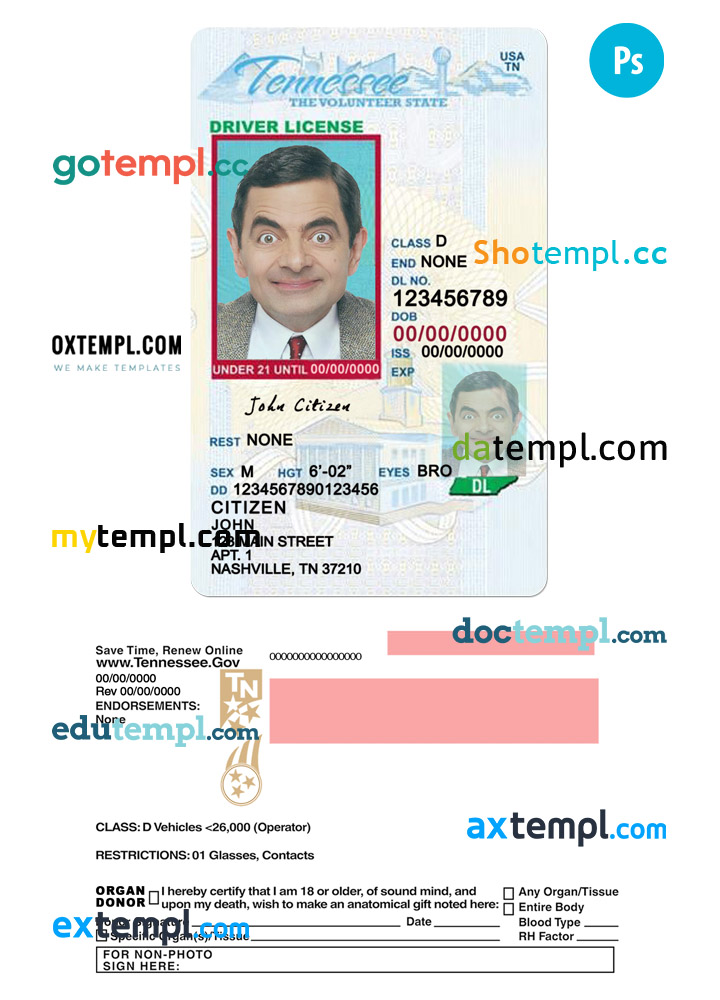 USA Tennessee state vertical driving license editable PSD template, under 21