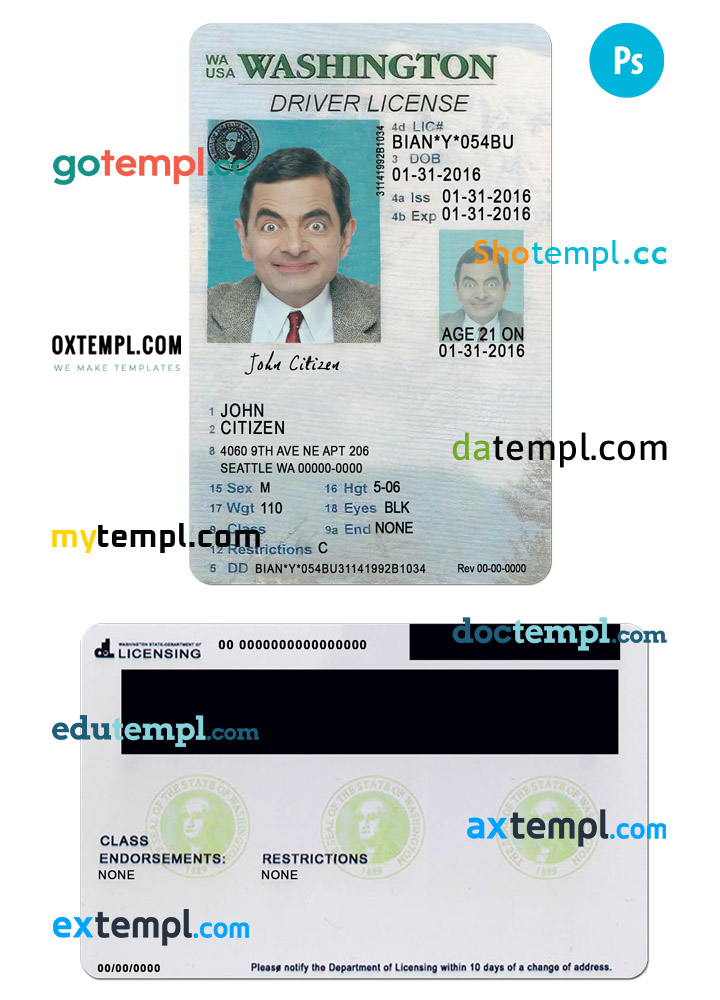 USA Washington state vertical driving license editable PSD template, under 21